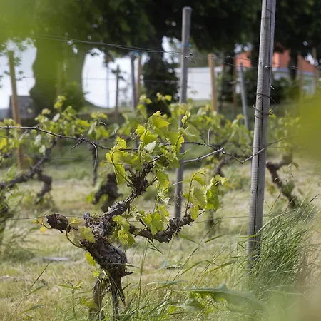 Apartmanhotel Dal Gjestegaard 3*