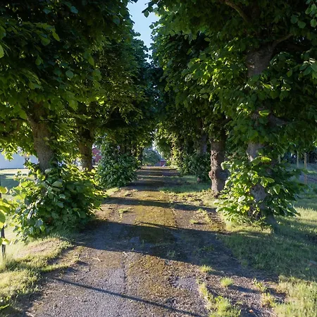 Dal Gjestegaard 3* Skoppum